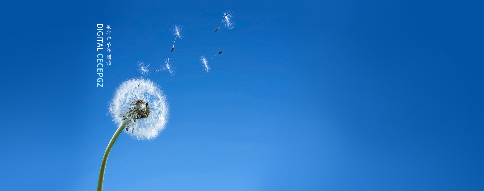 腾博诚信为本环？？？？？？？萍脊煞萦邢薰