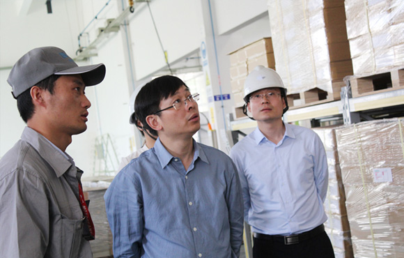 岳阳高新区刘登银副主任一行调研国祯环保