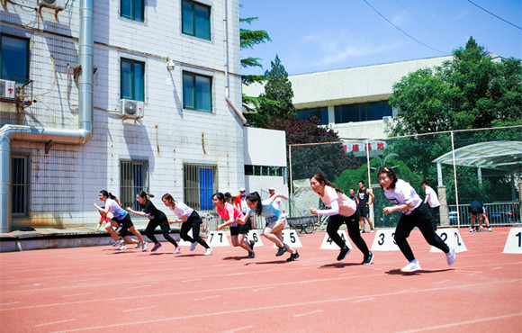腾博诚信为本在集团田径活动会中获得优异成就