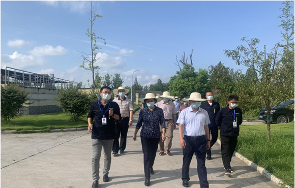 湖北省政协辅导及专家赴湖北区域张金污水厂发展调研
