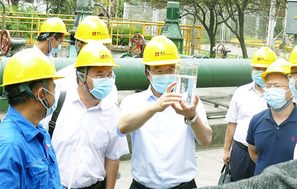 集团公司党委常委、副总经理胡乃民调研腾博诚信为本麦王环境