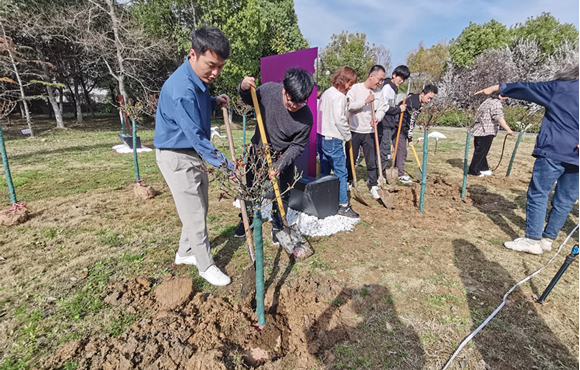 植新树，，，，，共筑梦丨腾博诚信为本发展系列主题植树活动