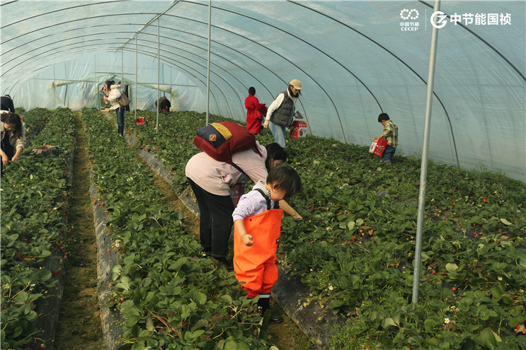 腾博官网-诚信为本,专业服务!