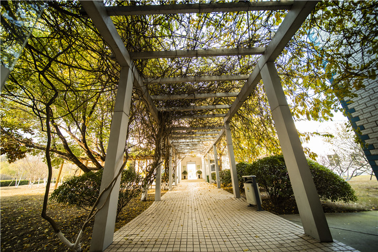 腾博官网-诚信为本,专业服务!